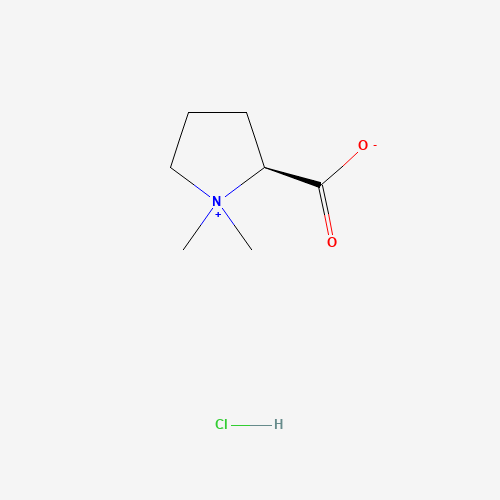 Stachydrine HCl
