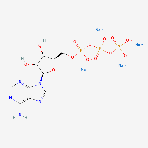 2R 3S 4R 5R -5- 6-Amino-9H-purin-9-yl -3 4-dihydroxytetrahydrofuran-2-yl methyl tetrahydrogen triphosphate disodium salt 987-65-5
