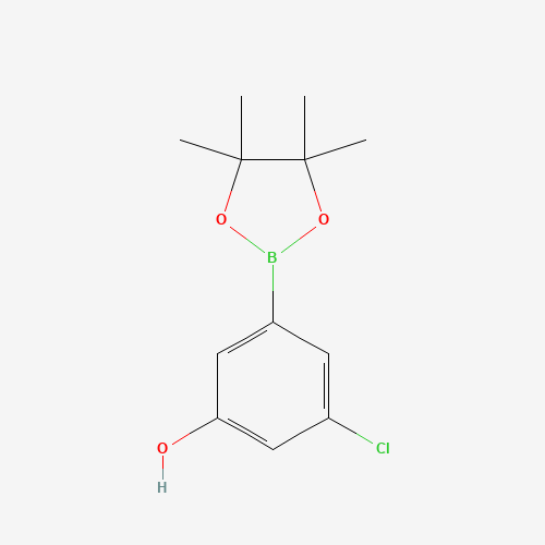 3-Chloro-5-(4,4,5,5-tetramethyl-1,3,2-dioxaborolan-2-yl)phenol 960388-56-1